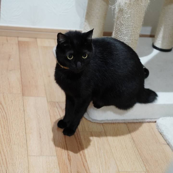 F288f26b 3f46 4ee9 8788 1d5a8670ec25 1575589390652