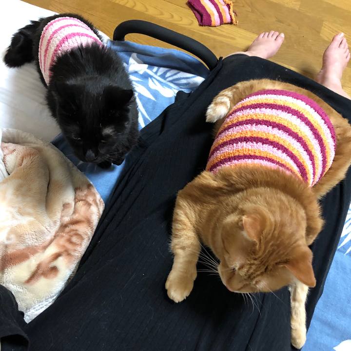 F288fbcb 2612 4e75 a849 970317cb2a87 1582804358275