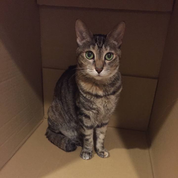 F288ffeb 32d9 455d 9c41 0f962e264d71 1520493355159