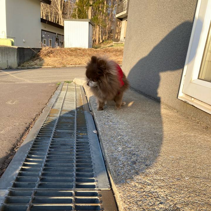 F289158f bd05 4441 83a1 670ae2698556 1712783645389