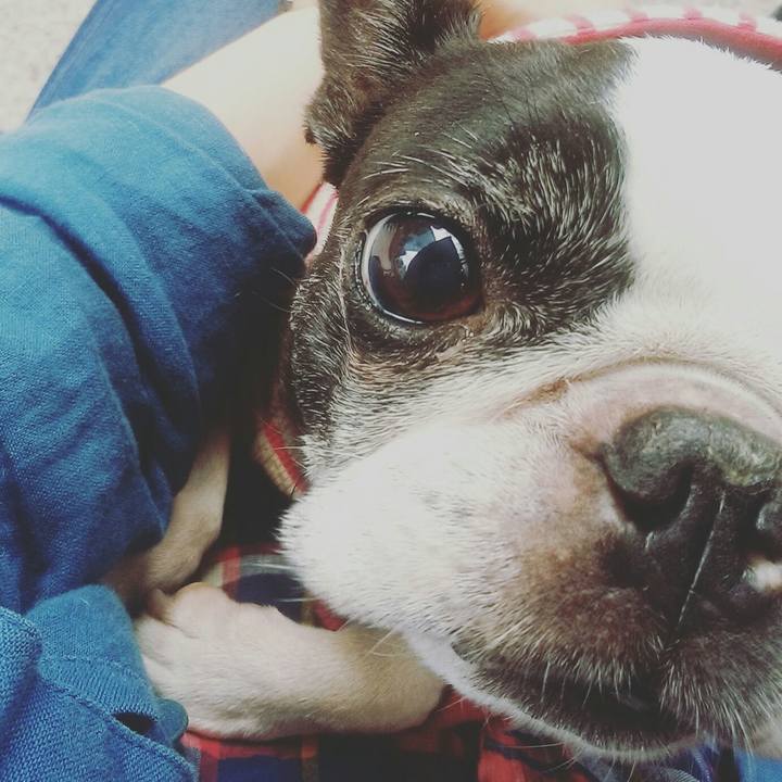 F2891ecf 0bce 409c af2c 169ef6b050ac 1541394007583