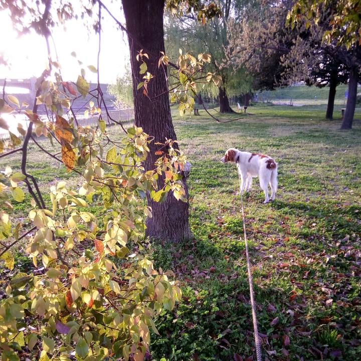 F28952a0 37c9 45d0 86a1 d2977c8849c3 1522756142147