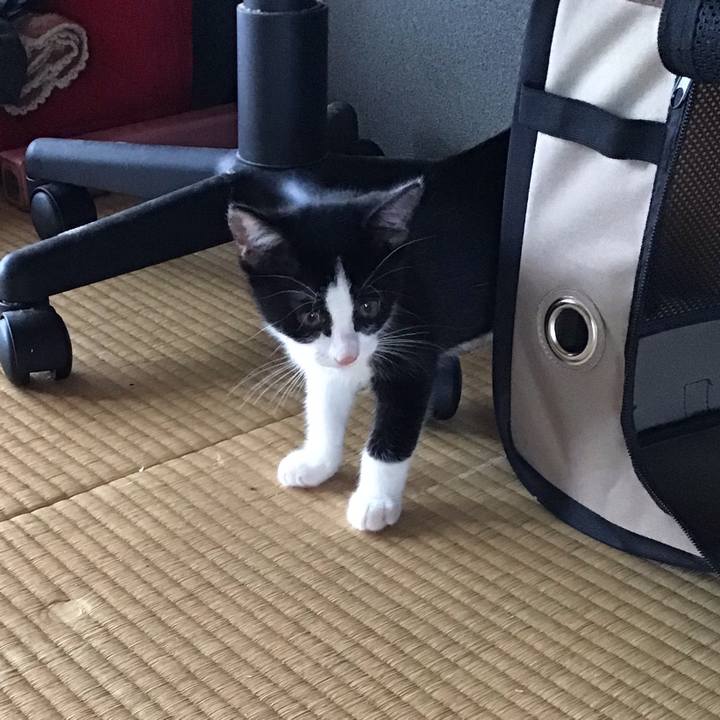 F28957e4 9d7b 428a a3ea b31adf06f447 1625888288687