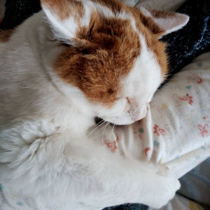 F2895a79 afac 41ec 93b1 595c3af2d792 1552710478565