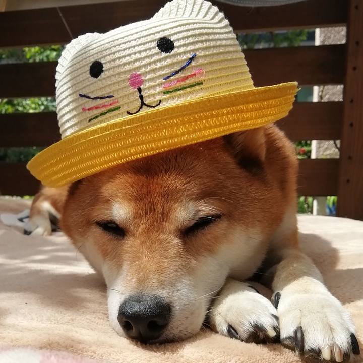 F289a9e2 5bf9 4b9a 948a ba6a9f4bea79 1629945016577