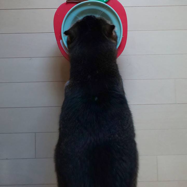 F28a00ec f13e 43e6 9b20 b63a4b9aa5e4 1659565920483