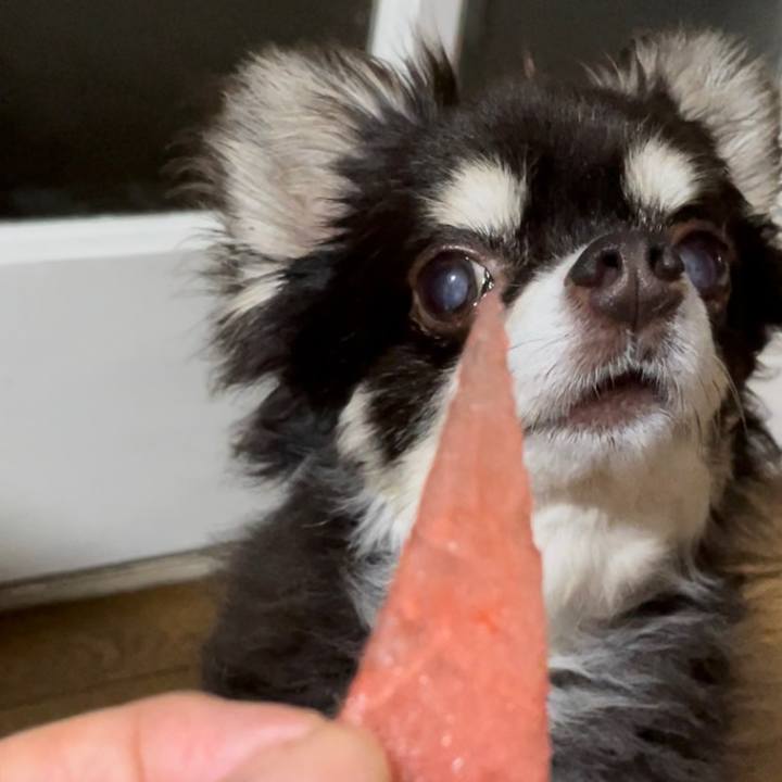 F28a0148 6c09 4a61 9a68 568160320164 1658279120344