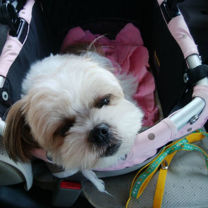 F28a4b5e b9d4 4c5d 891e a80911c1b98d 1509858433416