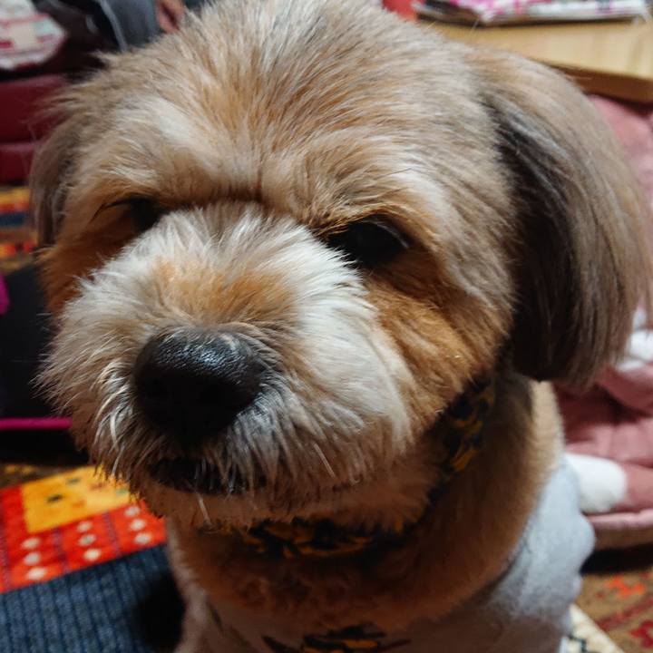 F28abbe5 683b 4a4d 84f0 d580e32b1693 1607851975522