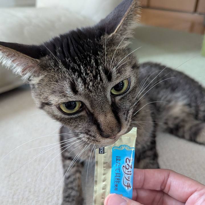 F28acf80 b5c6 4f85 9be9 2e3b89b74ada 1759368651247