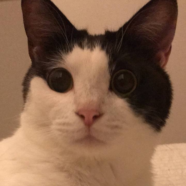 F28affbf 33fd 46f9 bbe6 ea546cf9758a 1559472811391