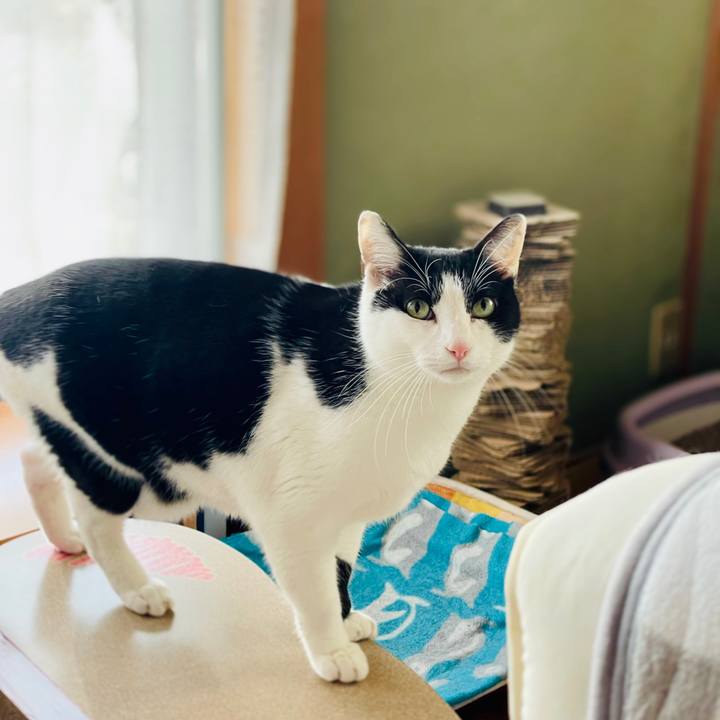 F28affd9 555c 4c07 a5e9 3fe9d5d0e3cc 1613612087834