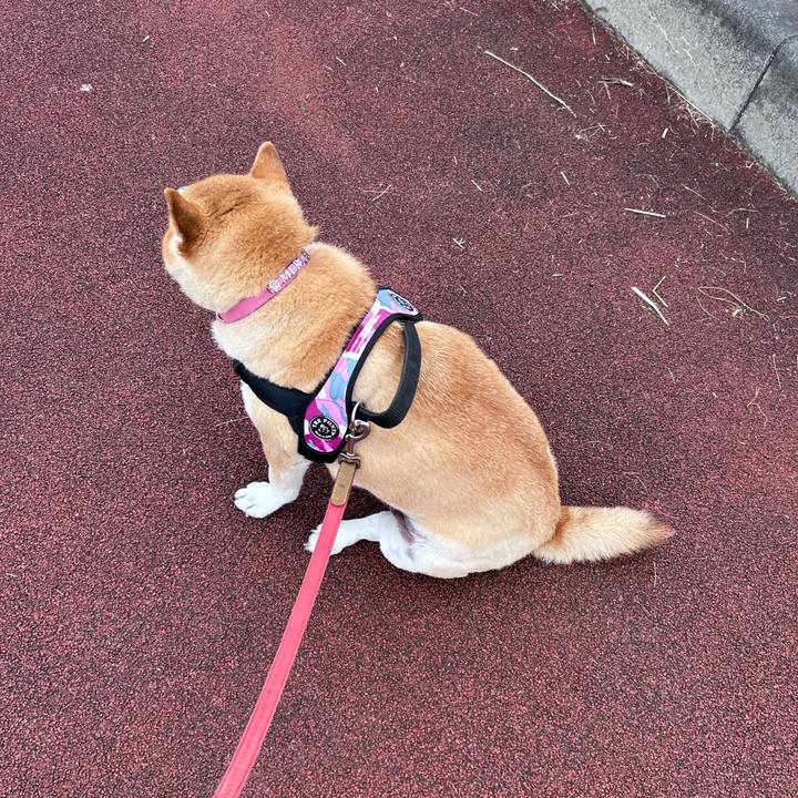 F28b1b3a 285d 4e73 a74f 9d739effc54e 1728039988734