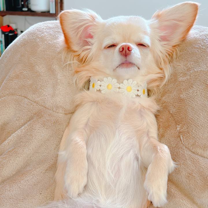 F28b5e7f 240d 4258 b4db 1c70aa160d15 1649326004661