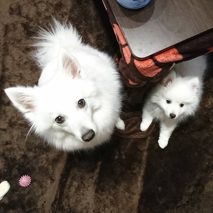 F28be519 27b5 48e5 888b 24ee0ae897f9 1546166002361