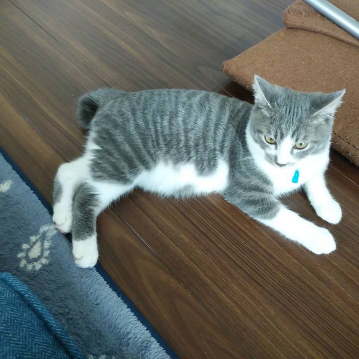 F28bfe7d 2f78 400c b1fc 19b643ebac0a 1568161122683