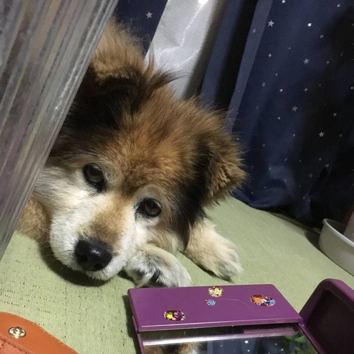 F28c090b 6589 4e38 9368 79d44ba7d7cb 1579171038981