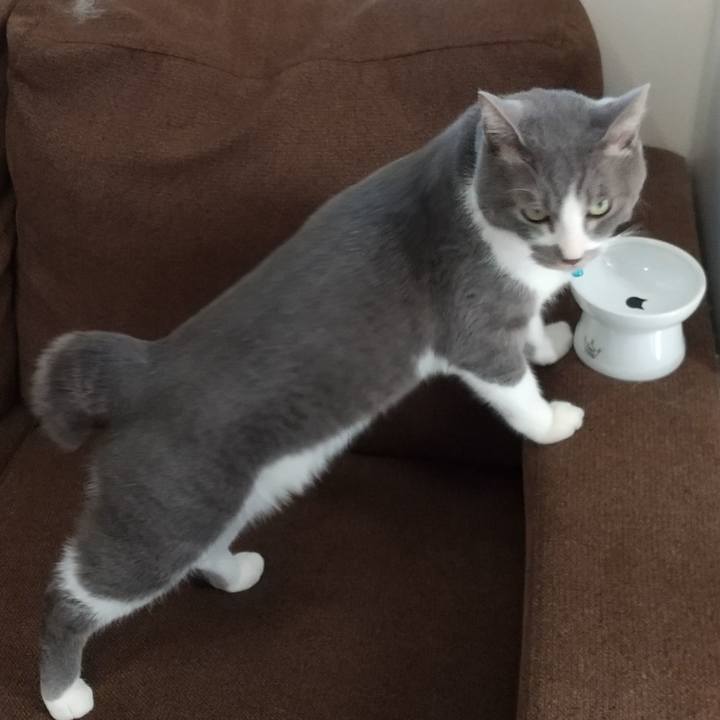 F28c0d3e 0b62 4e6e aa0d e779c44e26d9 1643341605365