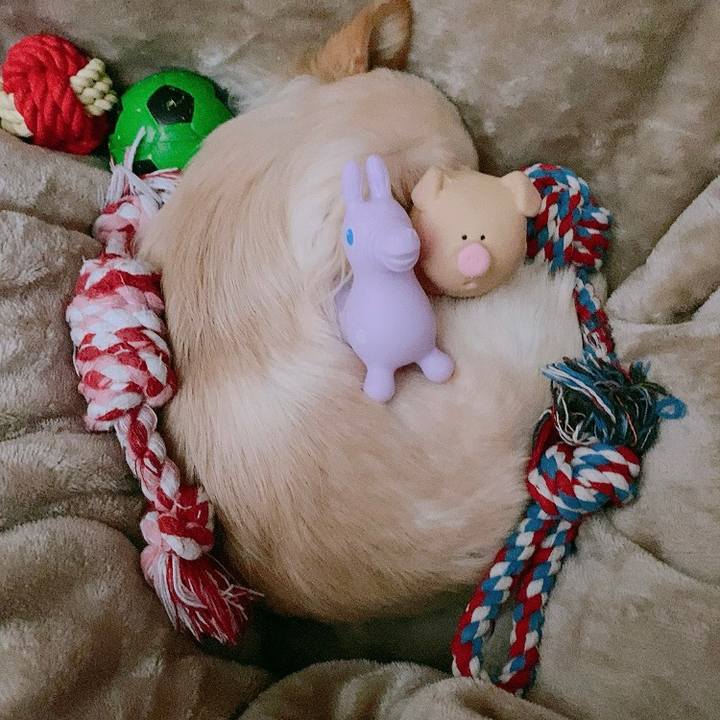 F28c5464 0a21 4c1e 92a5 7c2233c654cb 1611367984724