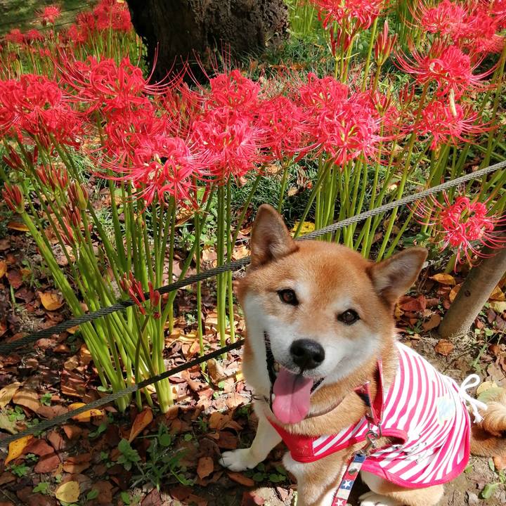 F28c66b3 dfa1 4049 b1fd 2dc112f7b976 1663323185605