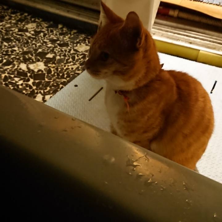 F28c7b34 e41e 458a a380 674b276cf60d 1570700450838