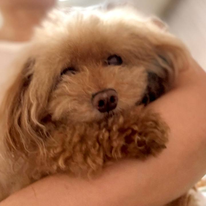 F28d0ccb b58e 4461 8f5e 5e33272c2b31 1754884642015