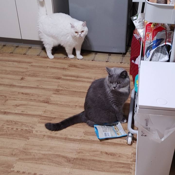 F28d2093 bc66 4f71 81a4 536d6b2febee 1666091759319