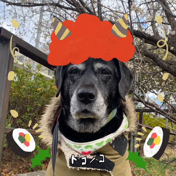 F28d24c6 1e6e 4308 a48f 4c6375e62461 1706776441416