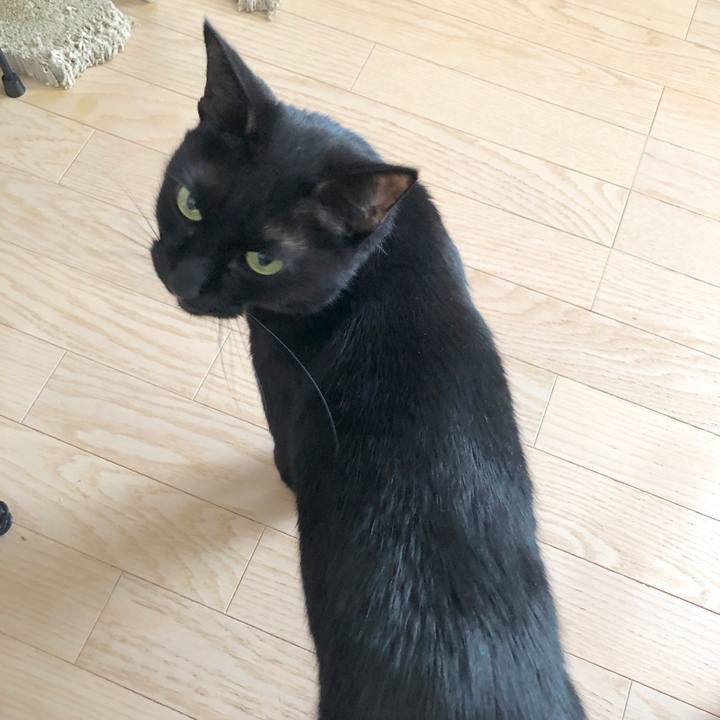 F28d2ddf 2364 421c 9dcd 1476de16db90 1586652447178