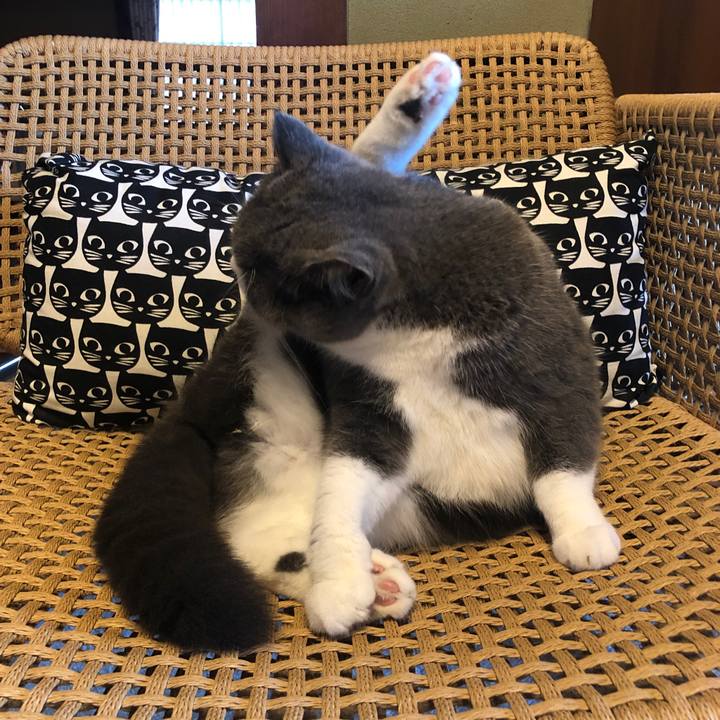 F28d415b d62d 4ad3 a8ab d3efab3f48d5 1600481096695