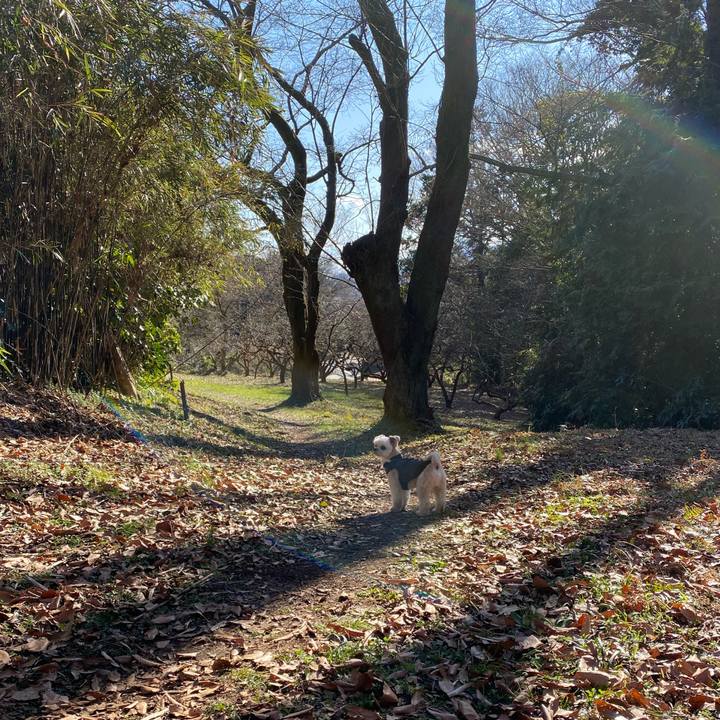 F28d44d9 8138 4647 88f7 fcf2fcbd2d10 1581252912590