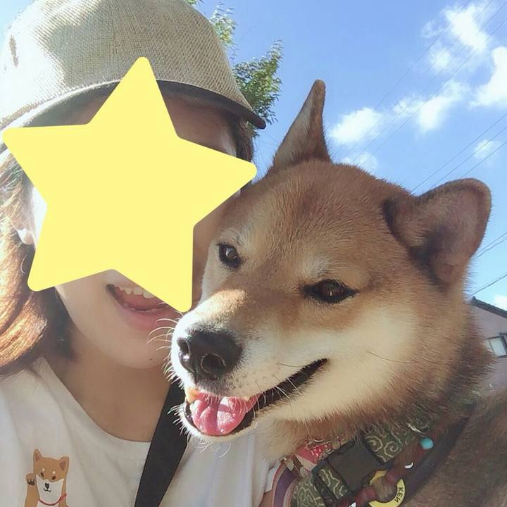 F28d4c5a e978 4289 94a3 0a8f2ed731fd 1534903374190