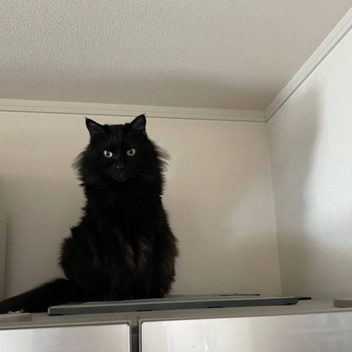 F28d74ef 5502 47d1 b66b 8ea789958730 1582887364512