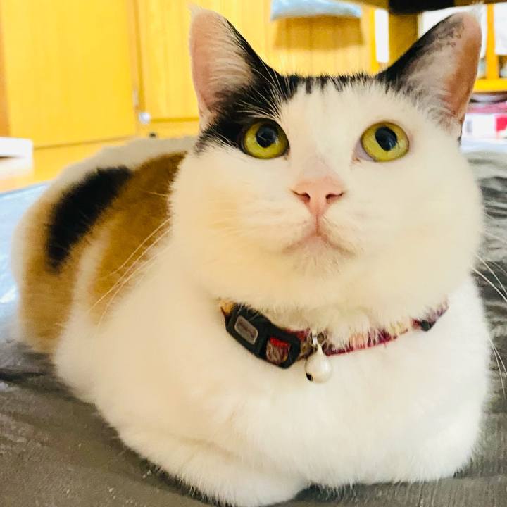 F28da532 7224 4969 b514 05328fa10a8b 1685368844470