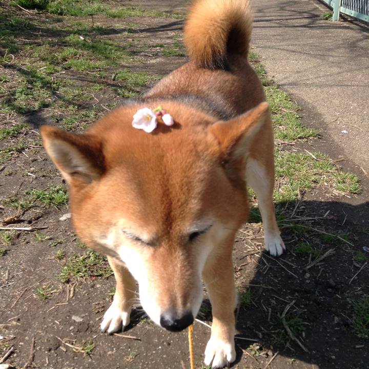 F28de769 5d8a 4053 9146 f83f136f8a3b 1521939812153