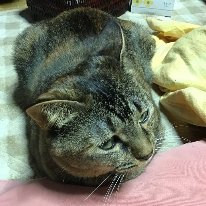 F28e170c 32a4 4510 823b e656455ed04b 1671195006695