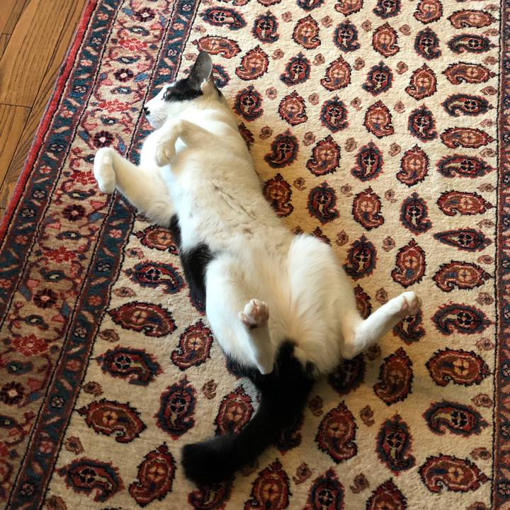 F28e482e 5999 4216 a67a c29a2c38ee6e 1543978570071