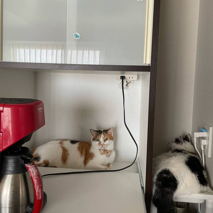 F28e51c6 95a0 4c4c a868 973ab5dc7d39 1630023361326