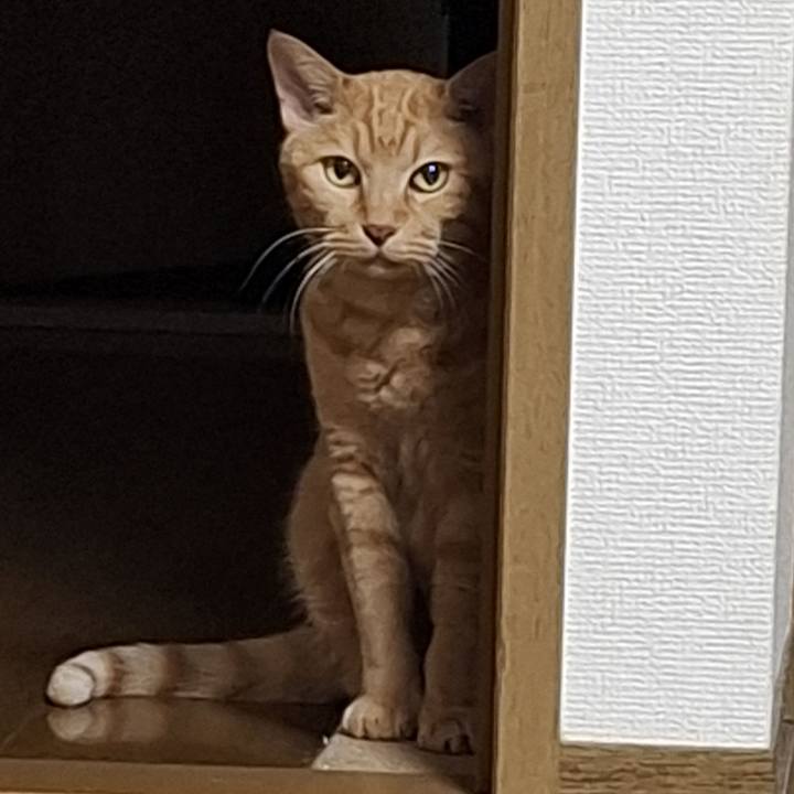 F28e5bfb 45d6 45b3 a3b2 7876b43af089 1747869101707