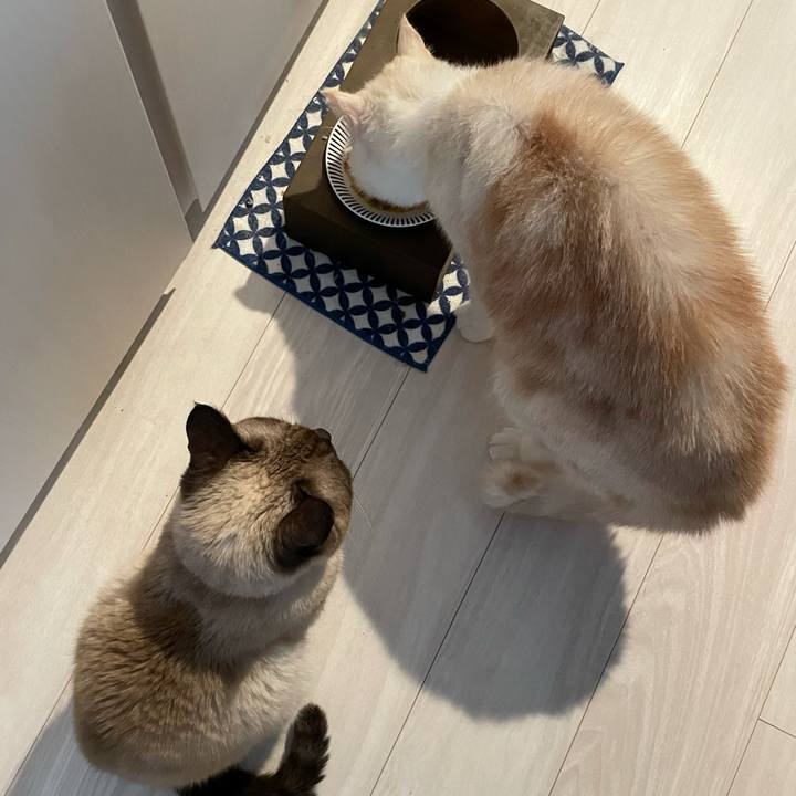 F28e9b06 c132 45b7 b185 43a498a94b34 1764207309896