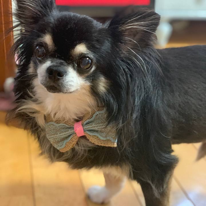 F28eafd6 74e9 46d3 bc43 55cdfb462693 1565677960678