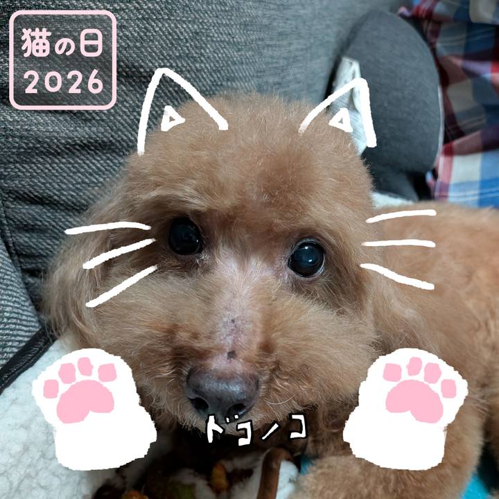 F28eb1db ea8d 404c b3c0 a10ecbc4b3f6 1771727087349