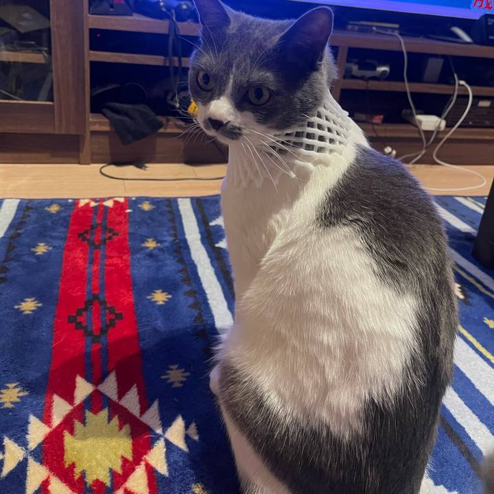 F28ec01d 4163 4575 8b86 314581d98b3c 1654424186272