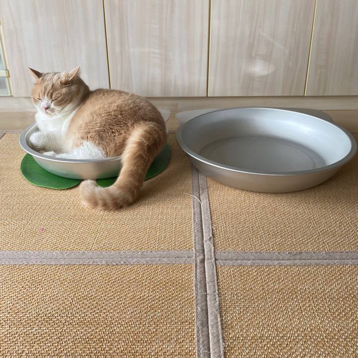 F28ee09e 6b6a 46ea 8f07 68def8c19359 1601518233904