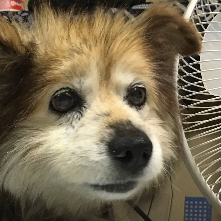 F28ef370 70fd 4cc5 a7d0 ce600299fa82 1614664001784