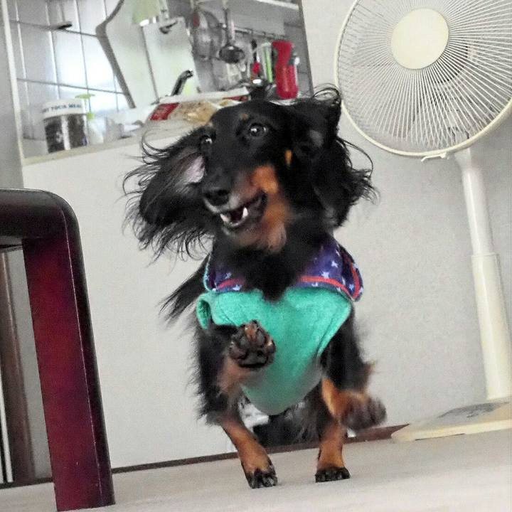 F28f43a1 180a 4ed1 965e 0ac1e5f24e57 1539049215692