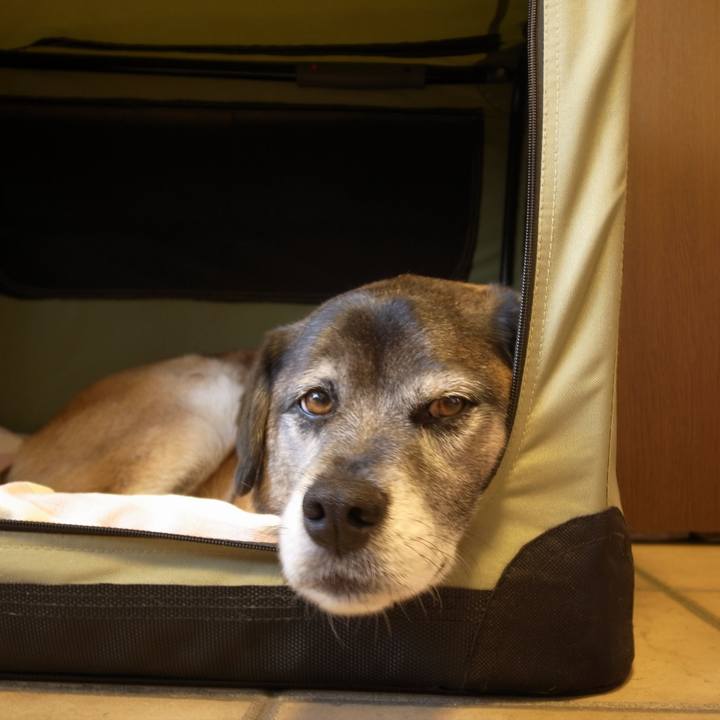 F28fac8a be12 4287 b10d 61dfbb061536 1598916921483