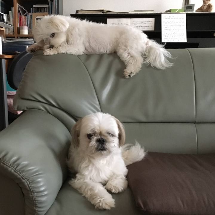 F28ff88d 2625 4bcc 99ac 9920fb024dfc 1564142622304