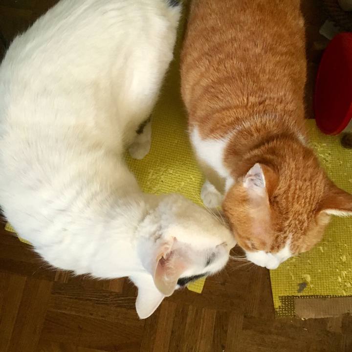 F2901730 8557 4c70 8daf 4edabe047689 1555278671075