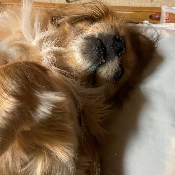 F29026dd af01 43be 8089 62e6ed408285 1641419610245